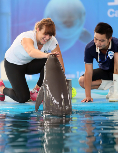 无论选择加 无论选择加